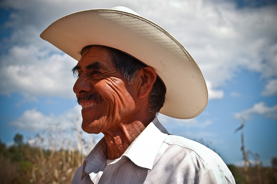 Understanding Mexico’s Political Landscape: From Revolution to Democracy